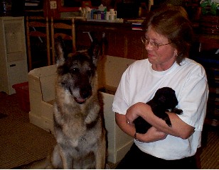 Mary, Uzi and 2 Week Old S5�fritz