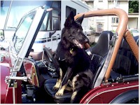 S5fritz thinks she should drive and it's often a challenge to get into the Jeep.