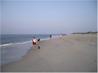 A walk on the beach!