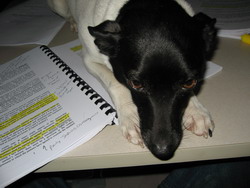 Moosie says, "ENOUGH STUDYING"!!!