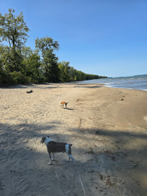beach