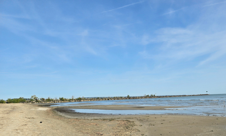 jetty
