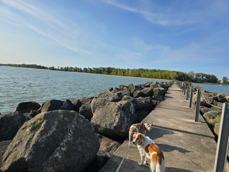 jetty