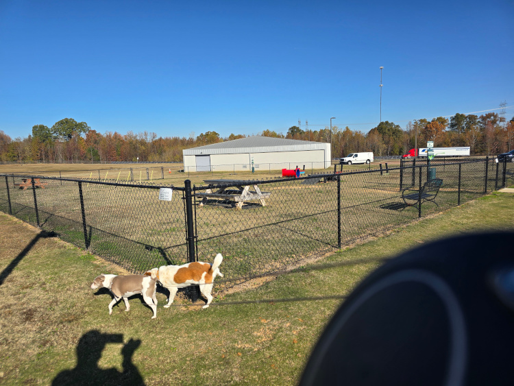 20251112%20tva%20dog%20park.jpg
